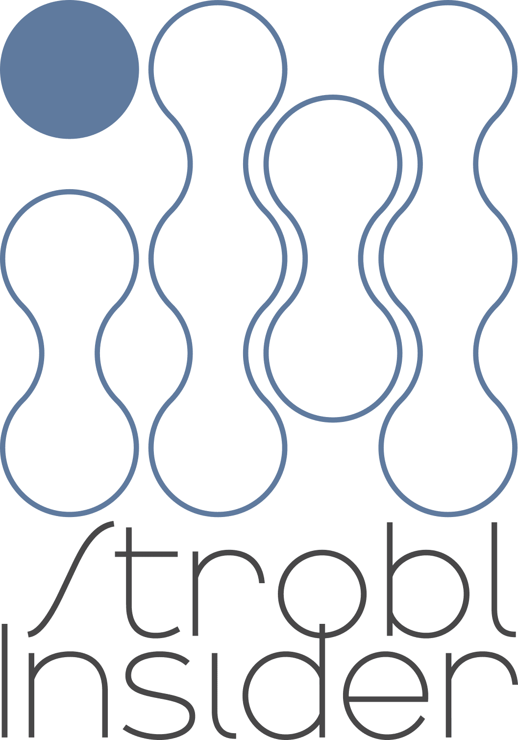 Insider Webseite Icon